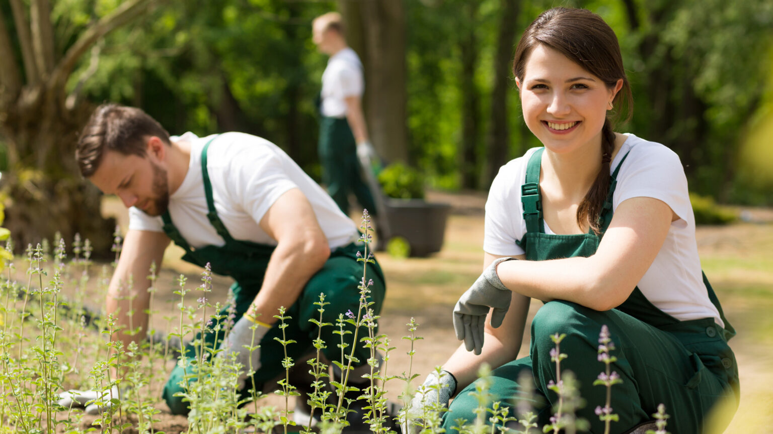 Bauleiter im Garten und Landschaftsbau (m/w/d) Gartenidee Kuchler