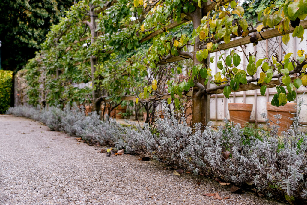 Ein-Garten-voller-Charakter-2