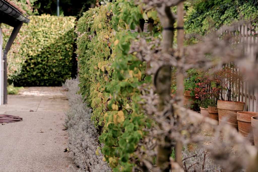 Ein-Garten-voller-Charakter-5