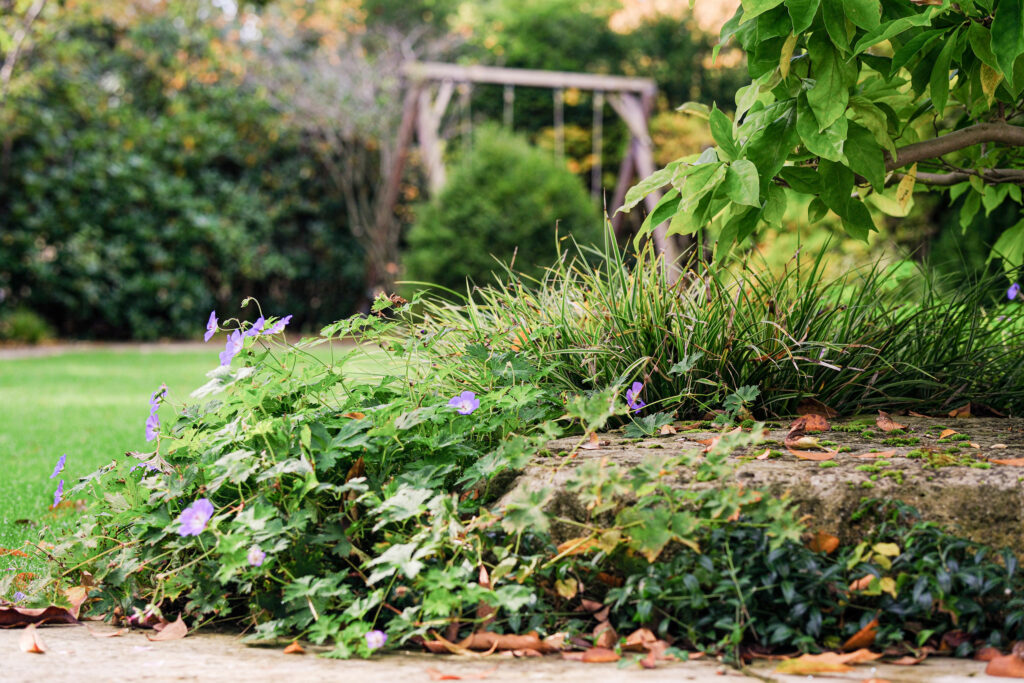 Ein-Garten-voller-Charakter-7